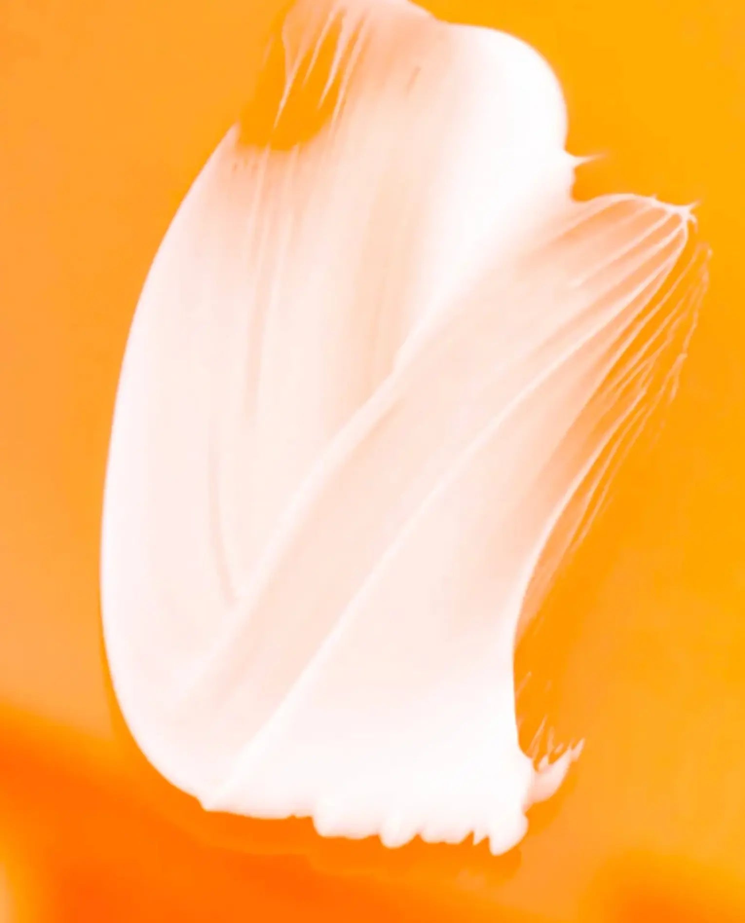 A thick, creamy white cosmetic or skincare product swatch, likely a cream or lotion, swirled on a vibrant orange background.