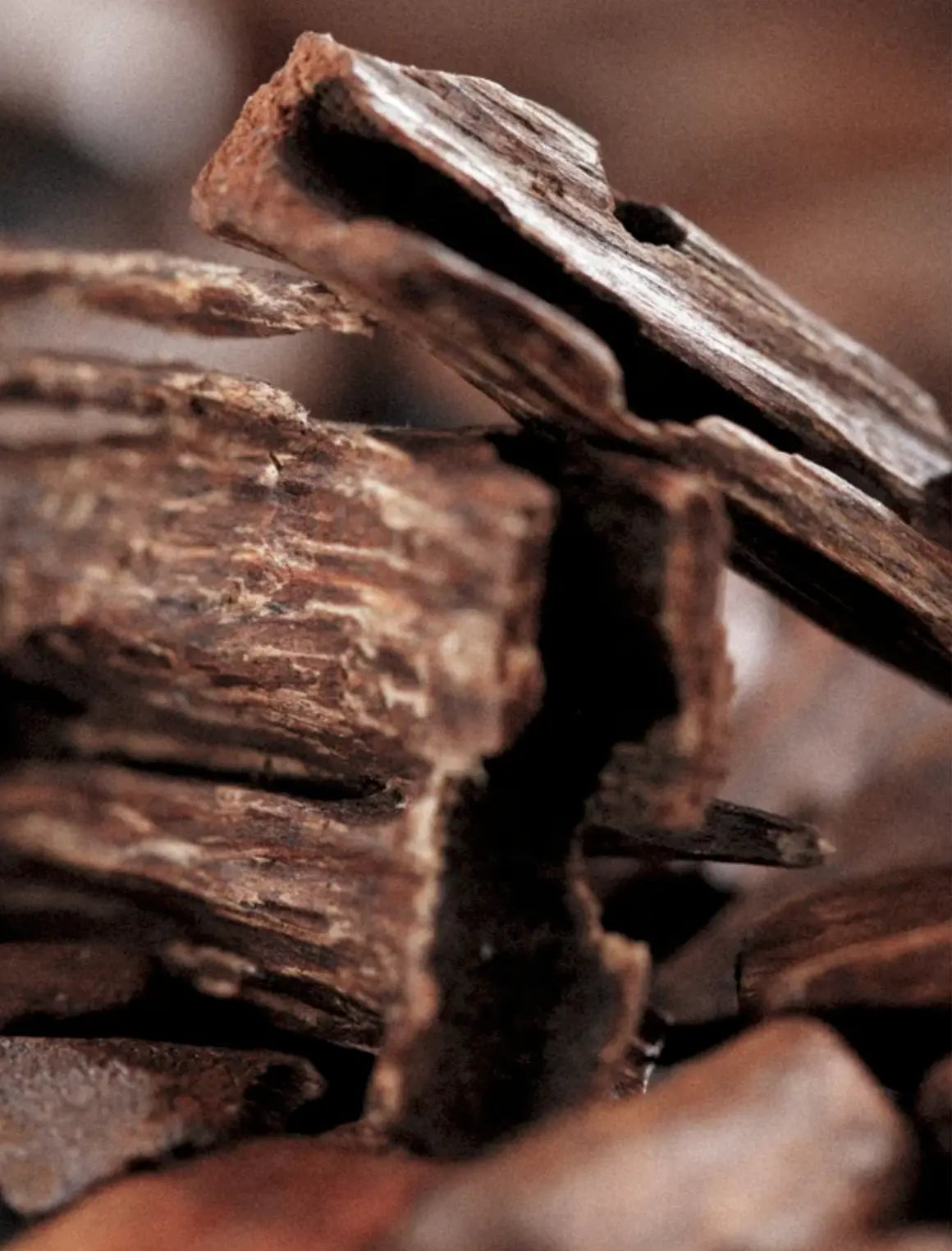 Close-up of dark brown wood bark or textured wood pieces stacked together, with shallow depth of field and a warm brown background.