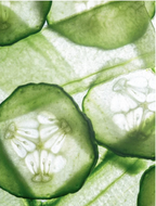 Close-up of fresh cucumber slices showcasing vibrant green color and natural textures.