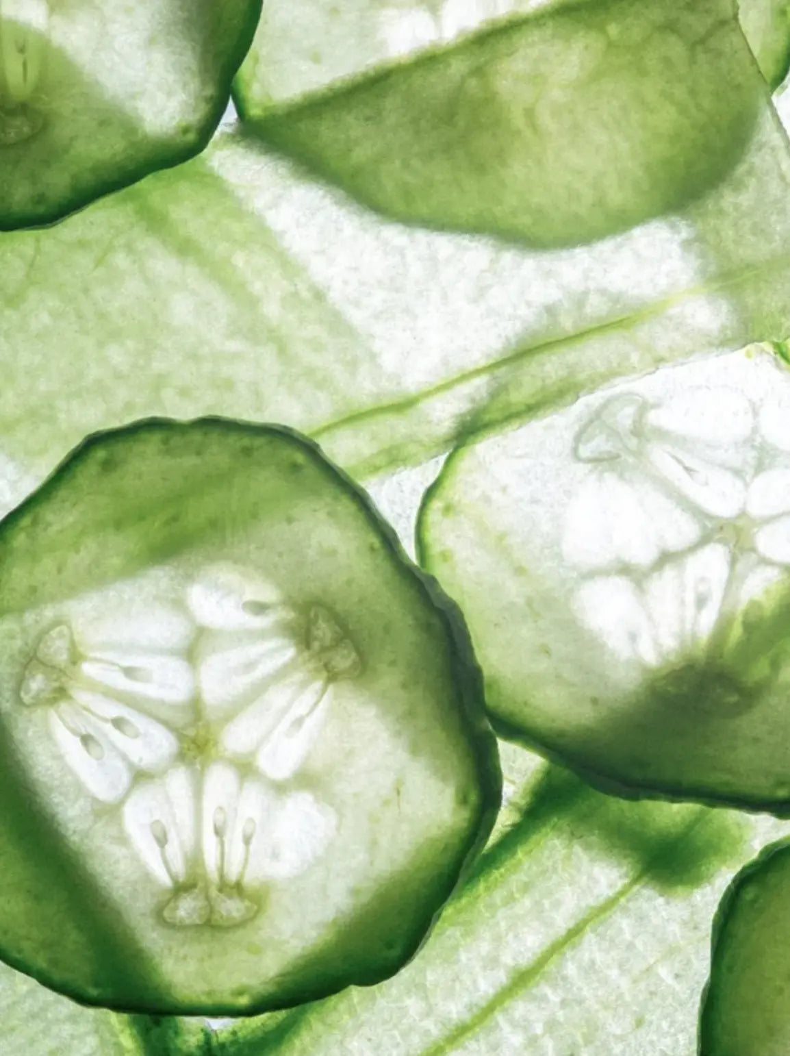 Close-up of sliced green cucumber pieces with pale inner flesh, photographed through a translucent leaf or cell-layer background.