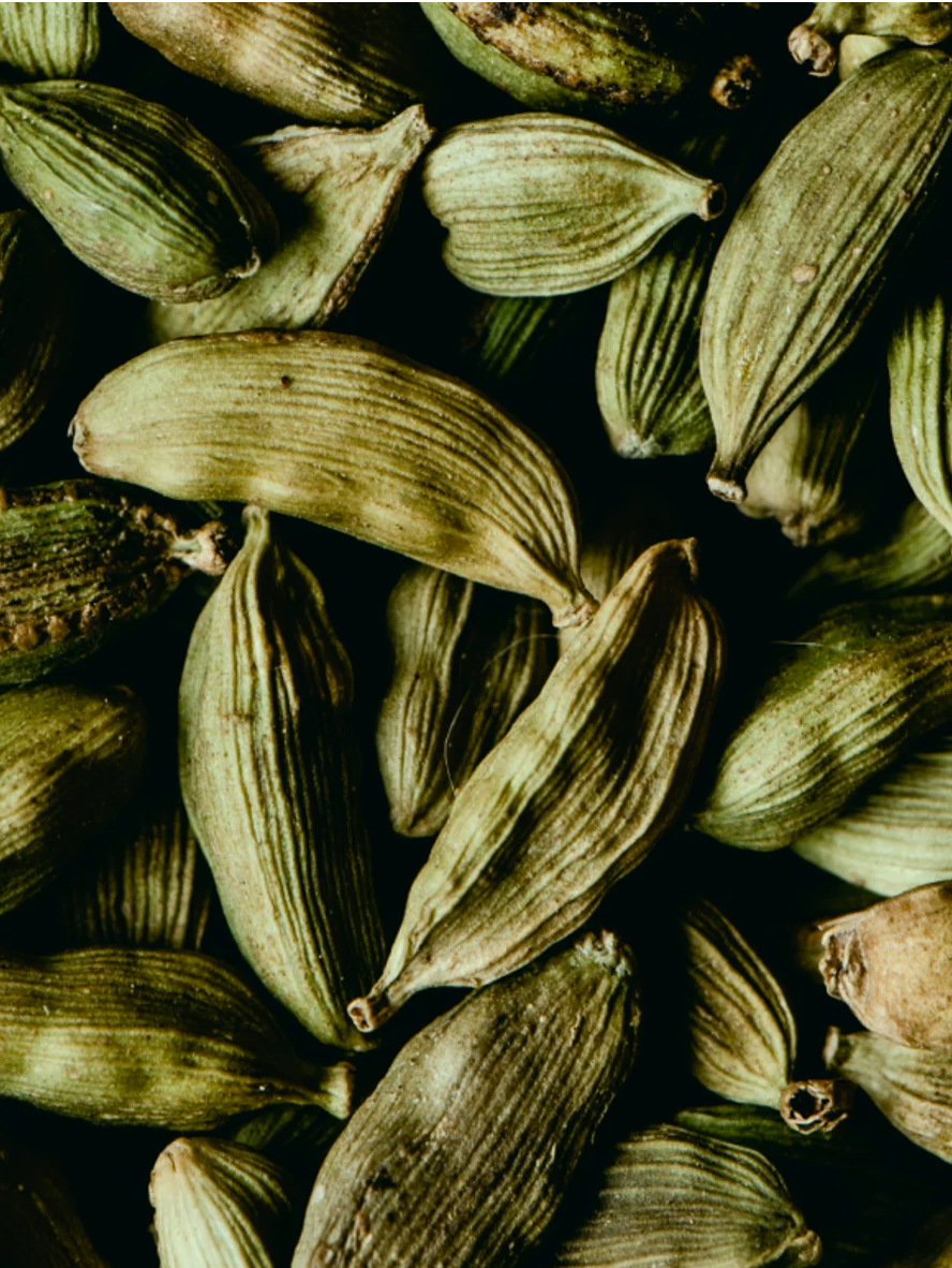 Hand and Body Wash Ginger and Smoky Cardamom ingredients, showcasing aromatic green cardamom pods.
