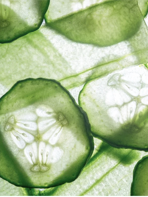 Close-up image of fresh green cucumber slices stacked together, showcasing their texture and seeds.