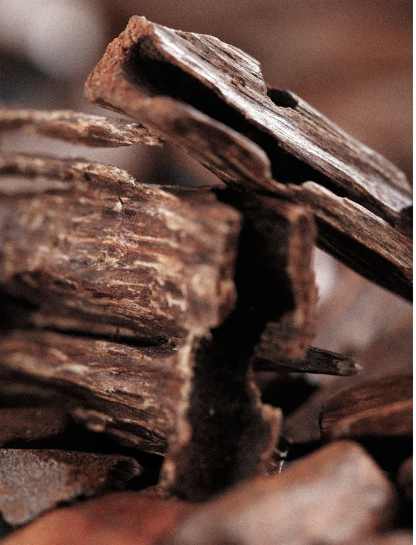 Close-up of textured wooden pieces highlighting natural earthy tones.