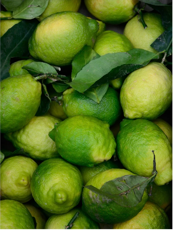 Fresh green lemons piled with leaves, showcasing their vibrant color and texture.