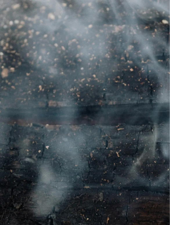 Close-up of smoky textures blending with dark wood, evoking scents of spices and sandalwood.