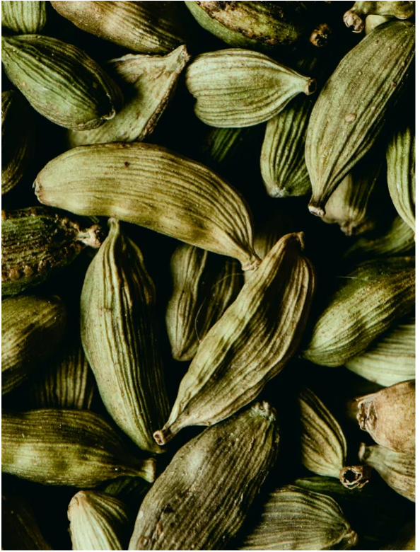 Silk Skin Hand Cream Spices and Sandalwood featuring cardamom seeds for a warm, aromatic blend.