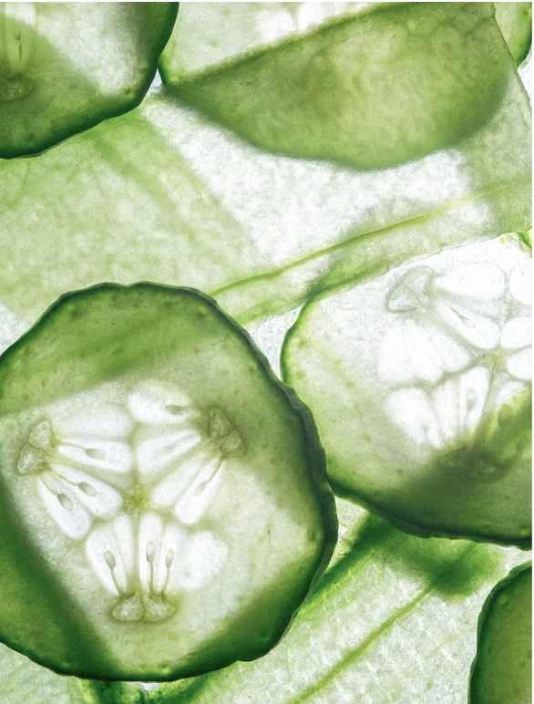 Close-up of fresh cucumber slices showcasing vibrant green color and natural textures.