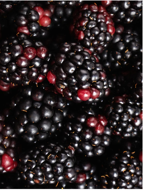 Fresh blackberries piled together, showcasing their vibrant color and texture.